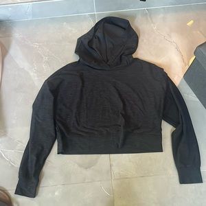Fox and Robin crop hoodie!